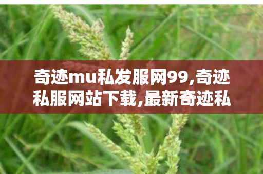 奇迹mu私发服网99,奇迹私服网站下载,最新奇迹私发服网,奇迹私服网站下载