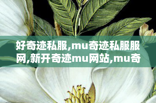 好奇迹私服,mu奇迹私服服网,新开奇迹mu网站,mu奇迹私服服网