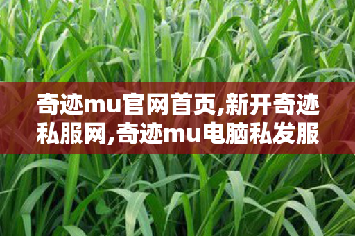 奇迹mu官网首页,新开奇迹私服网,奇迹mu电脑私发服网,新开奇迹私服网