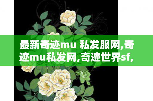 最新奇迹mu 私发服网,奇迹mu私发网,奇迹世界sf,奇迹mu私发网
