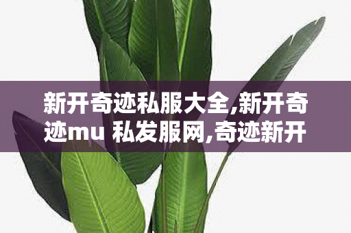 新开奇迹私服大全,新开奇迹mu 私发服网,奇迹新开,新开奇迹mu 私发服网