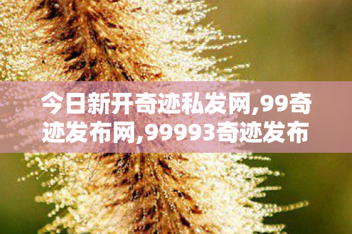 今日新开奇迹私发网,99奇迹发布网,99993奇迹发布网,99奇迹发布网