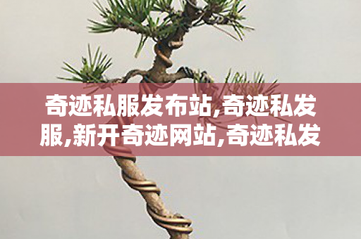 奇迹私服发布站,奇迹私发服,新开奇迹网站,奇迹私发服