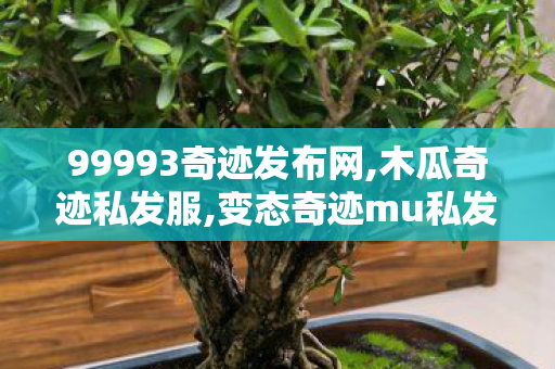 99993奇迹发布网,木瓜奇迹私发服,变态奇迹mu私发服网,木瓜奇迹私发服