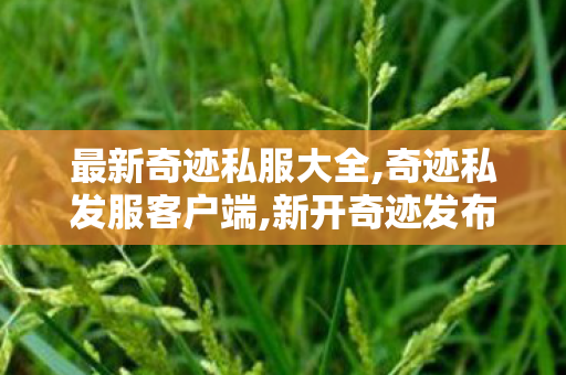 最新奇迹私服大全,奇迹私发服客户端,新开奇迹发布,奇迹私发服客户端