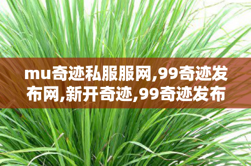 mu奇迹私服服网,99奇迹发布网,新开奇迹,99奇迹发布网