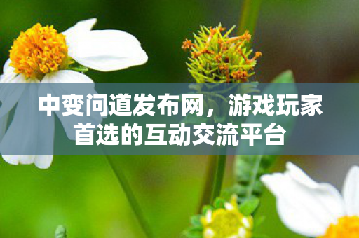 中变问道发布网，游戏玩家首选的互动交流平台