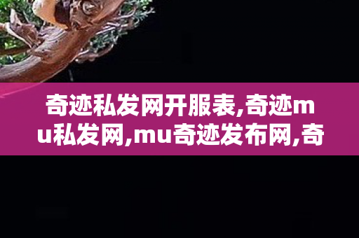 奇迹私发网开服表,奇迹mu私发网,mu奇迹发布网,奇迹mu私发网