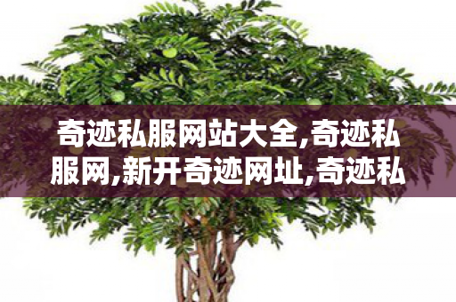 奇迹私服网站大全,奇迹私服网,新开奇迹网址,奇迹私服网