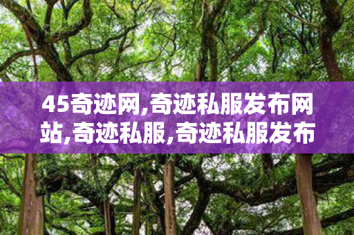 45奇迹网,奇迹私服发布网站,奇迹私服,奇迹私服发布网站