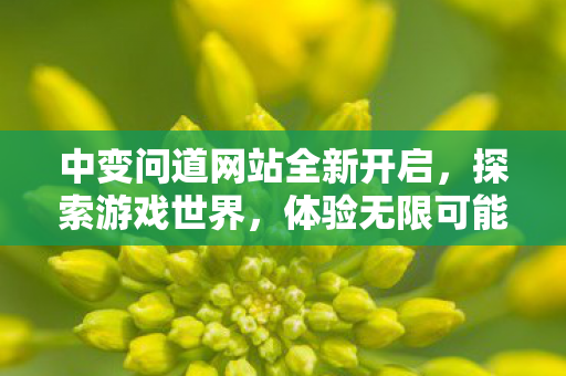 中变问道网站全新开启，探索游戏世界，体验无限可能