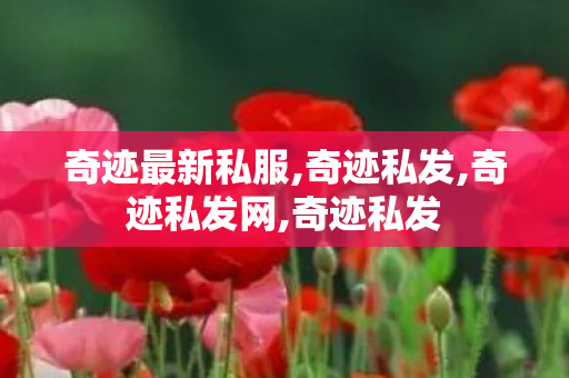 奇迹最新私服,奇迹私发,奇迹私发网,奇迹私发