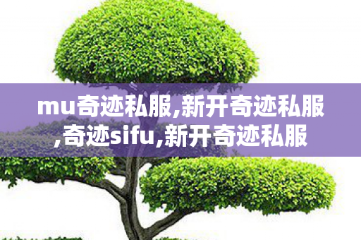 mu奇迹私服,新开奇迹私服,奇迹sifu,新开奇迹私服