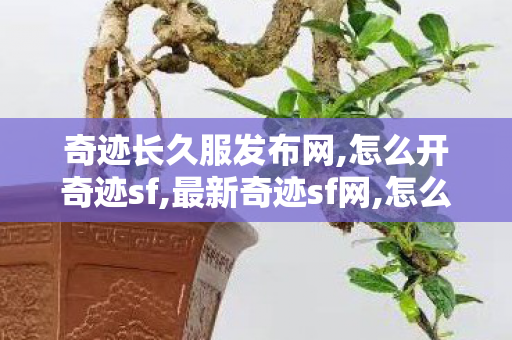 奇迹长久服发布网,怎么开奇迹sf,最新奇迹sf网,怎么开奇迹sf