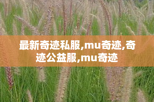 最新奇迹私服,mu奇迹,奇迹公益服,mu奇迹