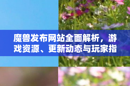魔兽发布网站全面解析，游戏资源、更新动态与玩家指南