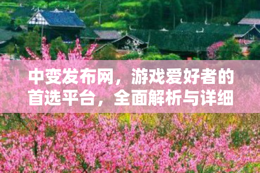 中变发布网，游戏爱好者的首选平台，全面解析与详细攻略