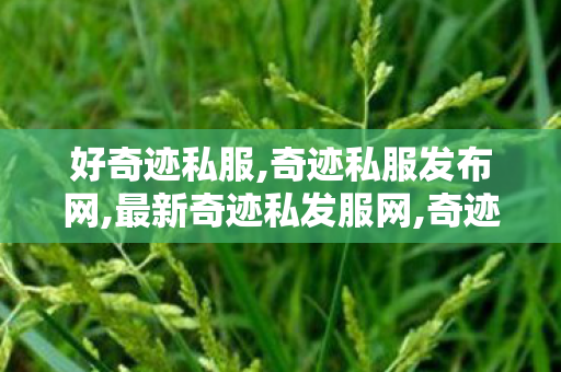 好奇迹私服,奇迹私服发布网,最新奇迹私发服网,奇迹私服发布网