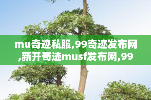 mu奇迹私服,99奇迹发布网,新开奇迹musf发布网,99奇迹发布网