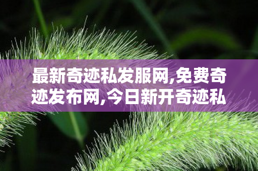 最新奇迹私发服网,免费奇迹发布网,今日新开奇迹私服,免费奇迹发布网