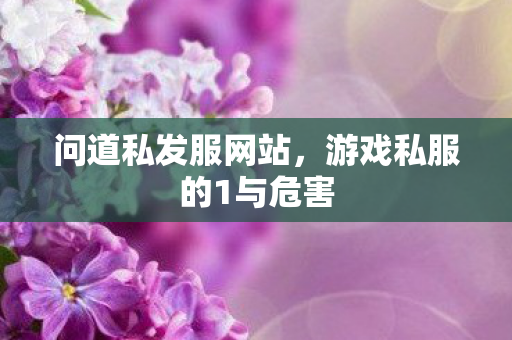 问道私发服网站，游戏私服的1与危害