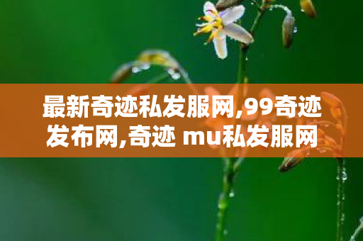 最新奇迹私发服网,99奇迹发布网,奇迹 mu私发服网大全,99奇迹发布网