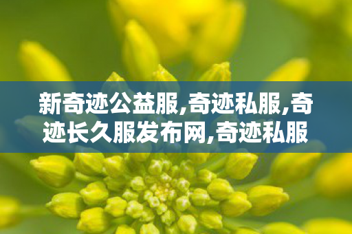 新奇迹公益服,奇迹私服,奇迹长久服发布网,奇迹私服