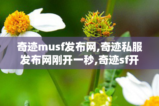 奇迹musf发布网,奇迹私服发布网刚开一秒,奇迹sf开服表,奇迹私服发布网刚开一秒
