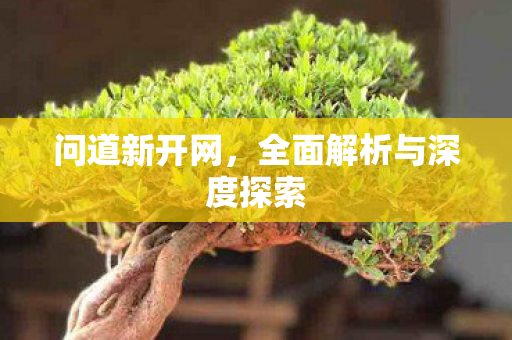 问道新开网，全面解析与深度探索