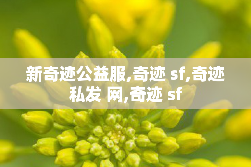 新奇迹公益服,奇迹 sf,奇迹私发 网,奇迹 sf