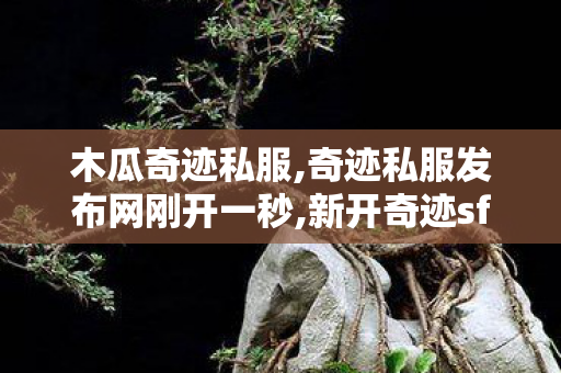 木瓜奇迹私服,奇迹私服发布网刚开一秒,新开奇迹sf,奇迹私服发布网刚开一秒