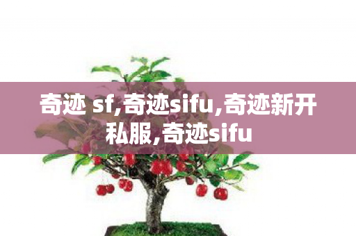 奇迹 sf,奇迹sifu,奇迹新开私服,奇迹sifu