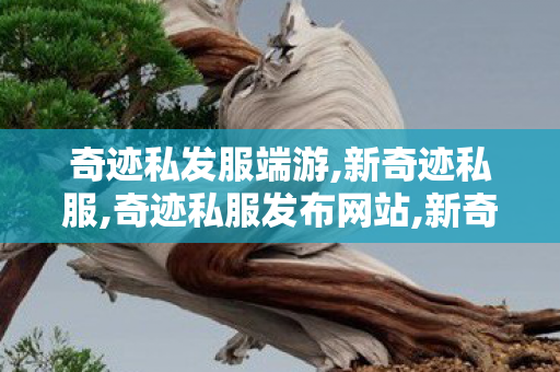 奇迹私发服端游,新奇迹私服,奇迹私服发布网站,新奇迹私服