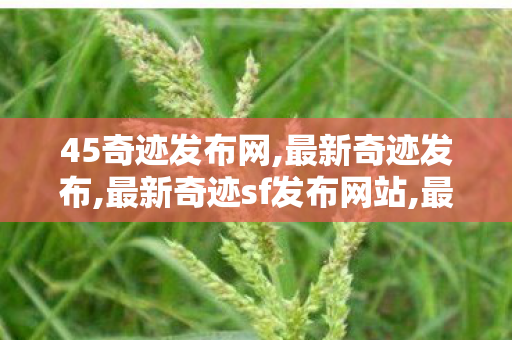 45奇迹发布网,最新奇迹发布,最新奇迹sf发布网站,最新奇迹发布