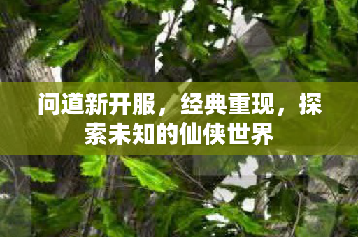 问道新开服，经典重现，探索未知的仙侠世界