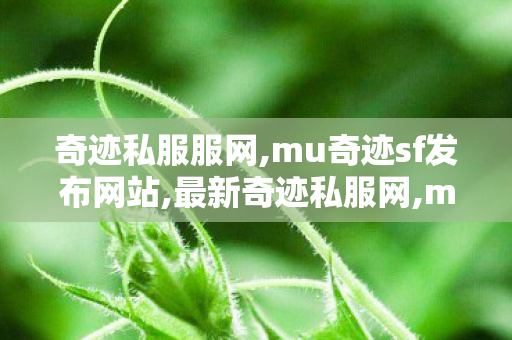 奇迹私服服网,mu奇迹sf发布网站,最新奇迹私服网,mu奇迹sf发布网站
