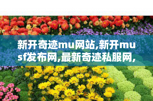 新开奇迹mu网站,新开musf发布网,最新奇迹私服网,新开musf发布网