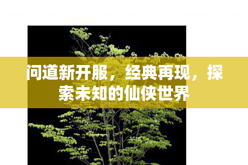 问道新开服，经典再现，探索未知的仙侠世界