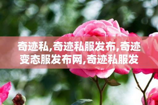 奇迹私,奇迹私服发布,奇迹变态服发布网,奇迹私服发布
