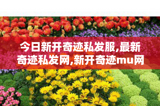 今日新开奇迹私发服,最新奇迹私发网,新开奇迹mu网站,最新奇迹私发网