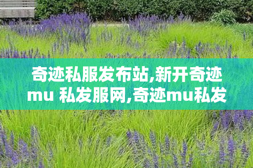 奇迹私服发布站,新开奇迹mu 私发服网,奇迹mu私发服网大全电脑客户端,新开奇迹mu 私发服网