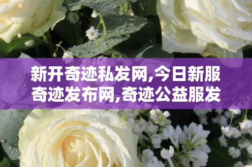 新开奇迹私发网,今日新服奇迹发布网,奇迹公益服发布网,今日新服奇迹发布网