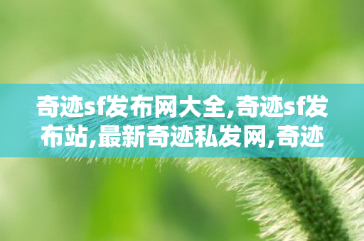 奇迹sf发布网大全,奇迹sf发布站,最新奇迹私发网,奇迹sf发布站