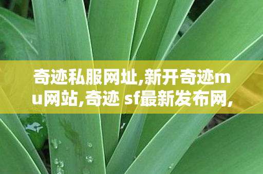 奇迹私服网址,新开奇迹mu网站,奇迹 sf最新发布网,新开奇迹mu网站