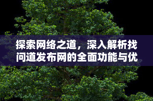 探索网络之道，深入解析找问道发布网的全面功能与优势