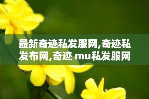 最新奇迹私发服网,奇迹私发布网,奇迹 mu私发服网大全,奇迹私发布网