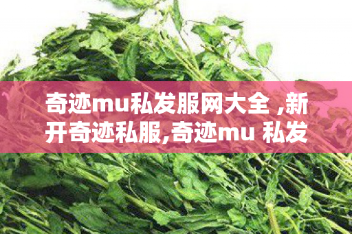 奇迹mu私发服网大全 ,新开奇迹私服,奇迹mu 私发服网大全,新开奇迹私服