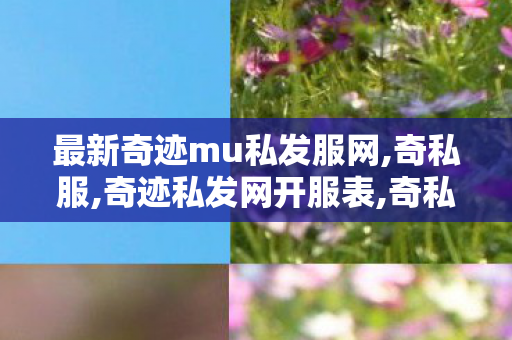 最新奇迹mu私发服网,奇私服,奇迹私发网开服表,奇私服