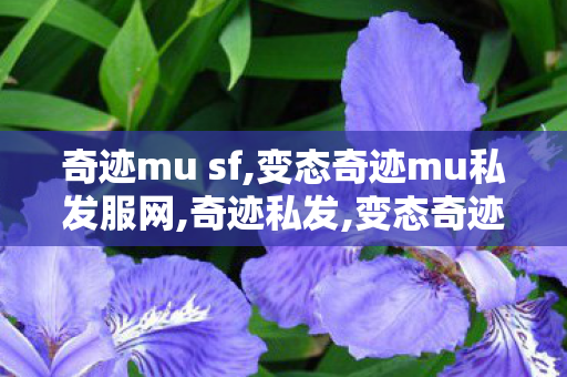 奇迹mu sf,变态奇迹mu私发服网,奇迹私发,变态奇迹mu私发服网