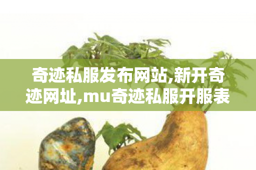 奇迹私服发布网站,新开奇迹网址,mu奇迹私服开服表,新开奇迹网址
